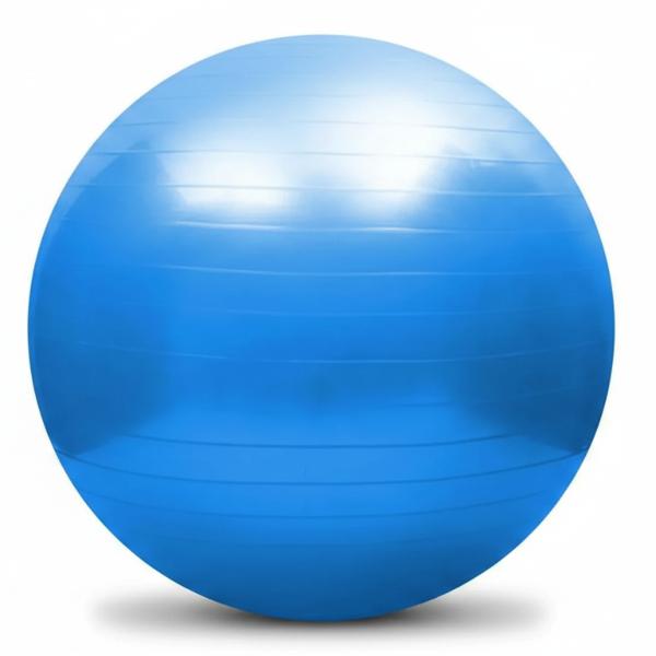 Fitness Gym Ball with Pump Anti-Burst Non-Slip Exercise Ball for Core Training Yoga Balance & Home Workout Equipment