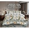 Luxury Microfiber Duvet Cover Set 3 Piece  Ultra Soft Breathable Quilt Cover with Hidden Zipper Closure  Lightweight Hypoallergenic Bedding Set with 2 Pillowcases