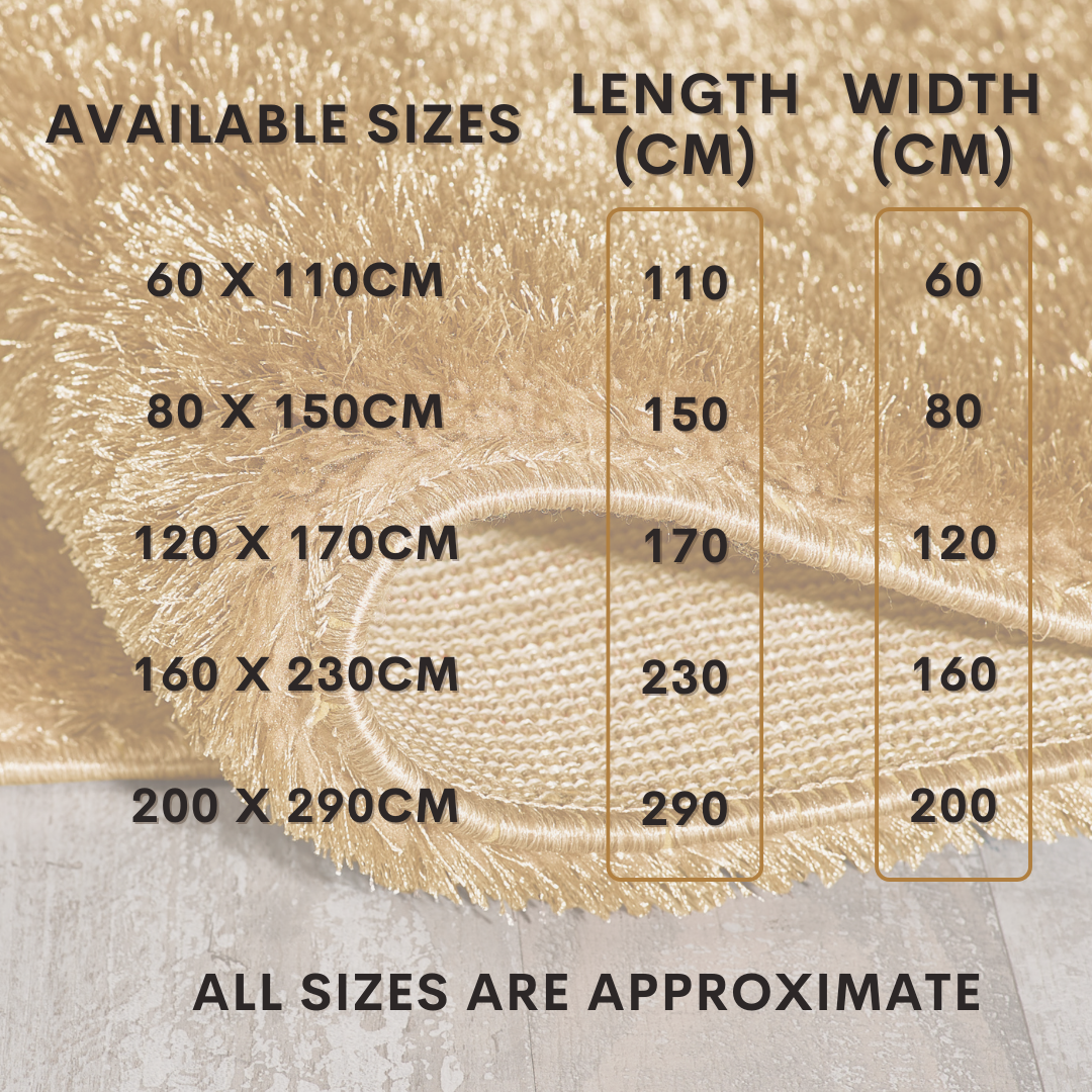 Super Soft Carpet Mat Luxury Shaggy Rugs for lounge Living Room Bedroom Floor UK