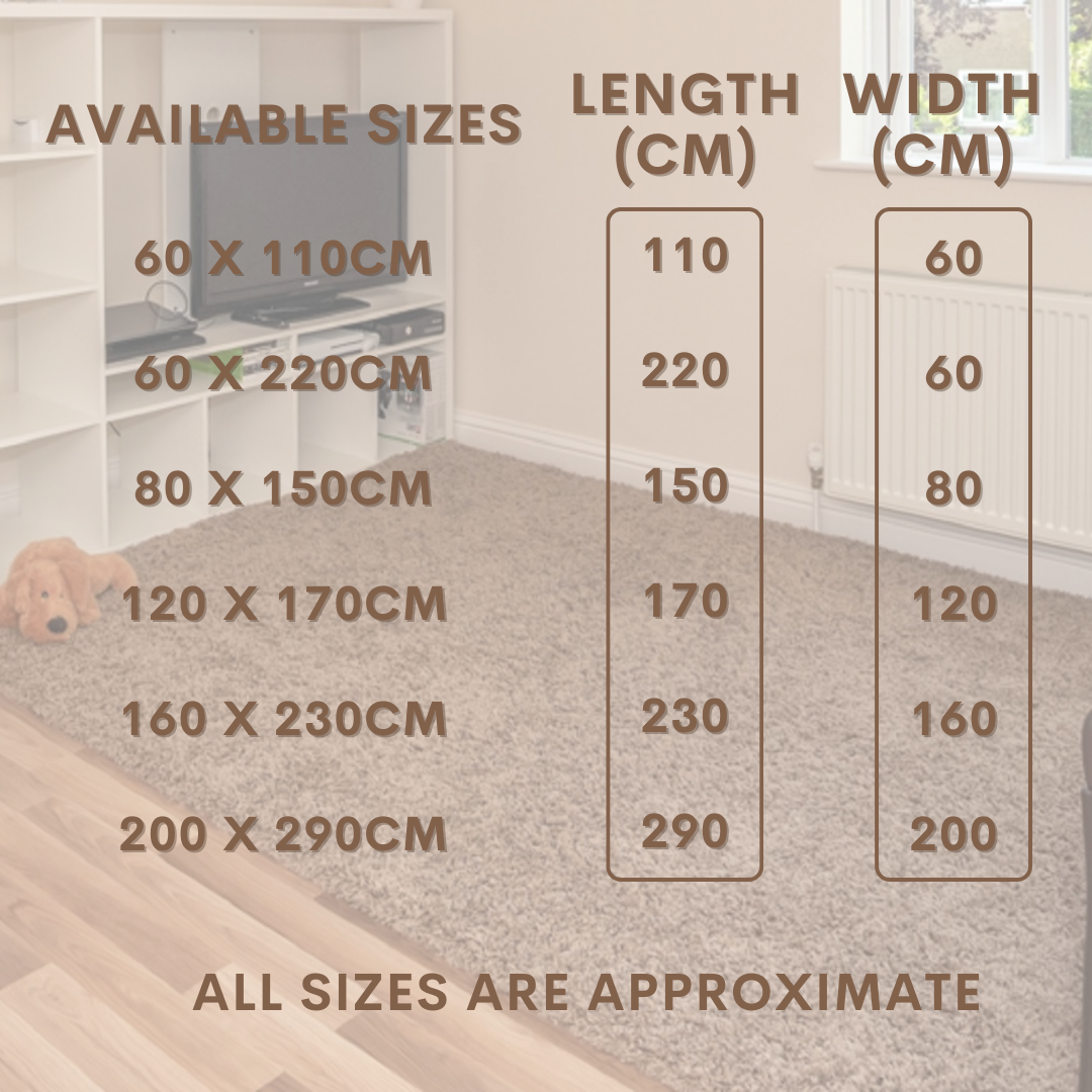 Modern Shaggy Rug Big Fluffy Carpets Floor Mats for Bedrooms Living Rooms Rug UK
