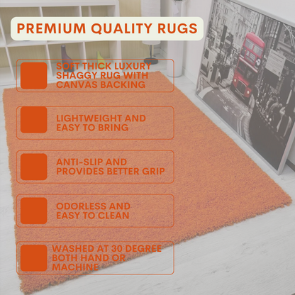 Modern Shaggy Rug Big Fluffy Carpets Floor Mats for Bedrooms Living Rooms Rug UK