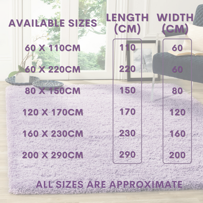 Modern Shaggy Rug Big Fluffy Carpets Floor Mats for Bedrooms Living Rooms Rug UK