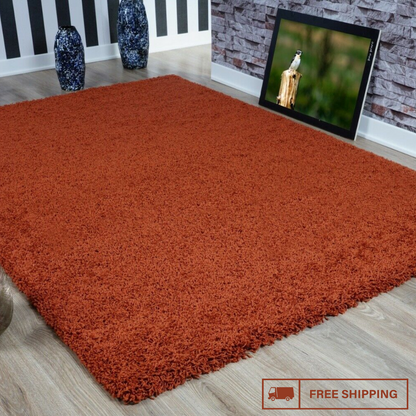 Modern Shaggy Rug Big Fluffy Carpets Floor Mats for Bedrooms Living Rooms Rug UK