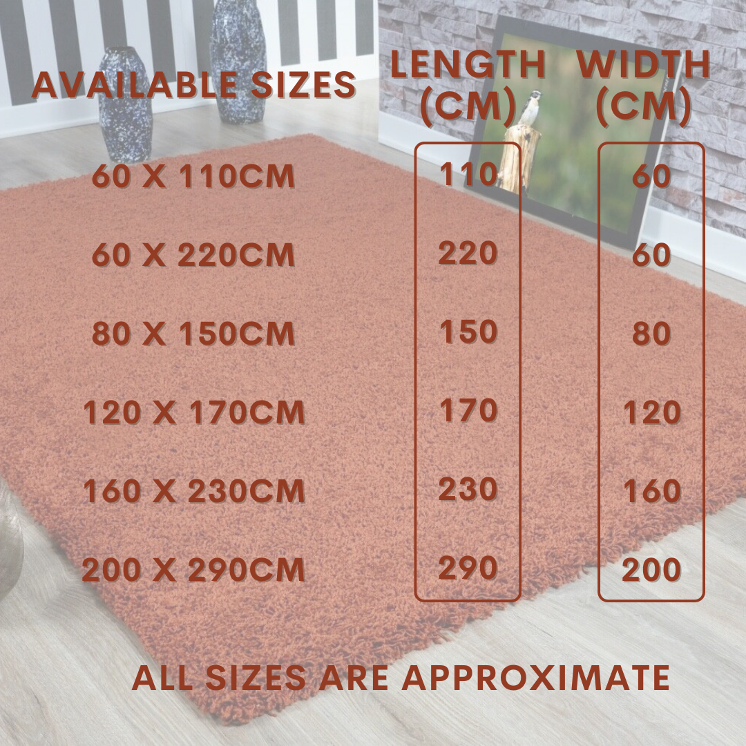 Modern Shaggy Rug Big Fluffy Carpets Floor Mats for Bedrooms Living Rooms Rug UK